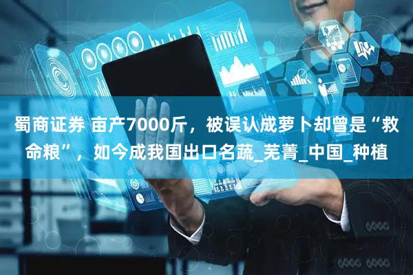 蜀商证券 亩产7000斤，被误认成萝卜却曾是“救命粮”，如今成我国出口名蔬_芜菁_中国_种植