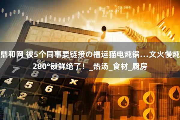 鼎和网 被5个同事要链接の福运猫电炖锅…文火慢炖280°锁鲜绝了！_热汤_食材_厨房