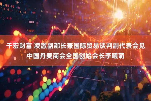 千宏财富 凌激副部长兼国际贸易谈判副代表会见中国丹麦商会全国创始会长李曦萌