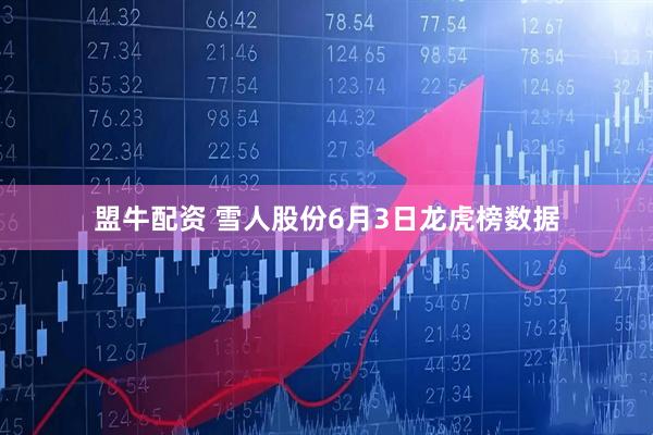 盟牛配资 雪人股份6月3日龙虎榜数据