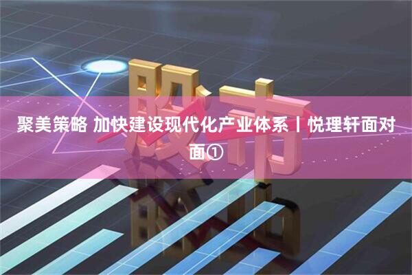 聚美策略 加快建设现代化产业体系丨悦理轩面对面①