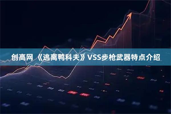 创高网 《逃离鸭科夫》VSS步枪武器特点介绍