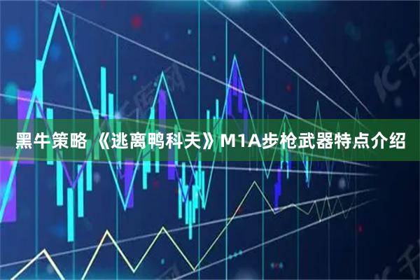 黑牛策略 《逃离鸭科夫》M1A步枪武器特点介绍