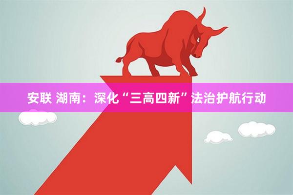 安联 湖南：深化“三高四新”法治护航行动