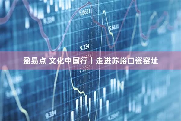 盈易点 文化中国行丨走进苏峪口瓷窑址